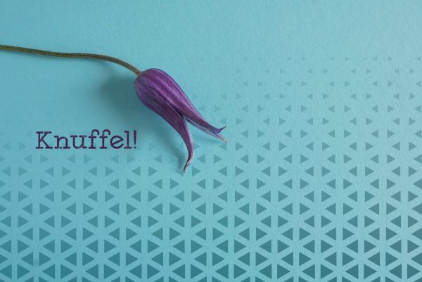 Kaart met een blauwe kleur, op de achtergrond een patroon van paarse driehoekjes, een paarse bloem en in het paars de tekst: Knuffel!
