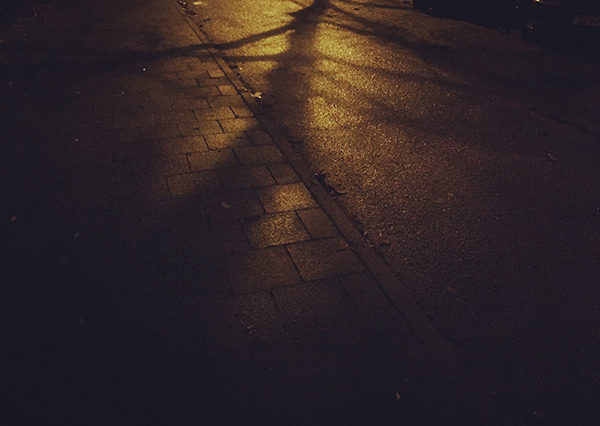 avond, nacht, fotografie, smartphone, boom, schaduw, reflectie, regen, nat