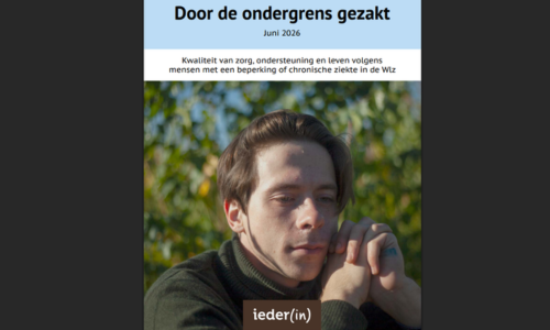 Screenshot van het voorblad van het onderzoek 'Door de ondergrens gezakt'. Bovenaan staat de titel en waarover het rapport gaat. Daaronder een foto van een peinzende jongeman.